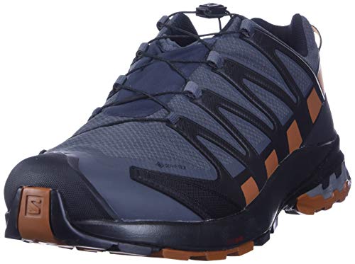 Salomon XA Pro 3D V8 Gore-Tex (Hombre Zapatos de trail running, Negro (Ebony/Caramel Cafe/Black), 46 EU)