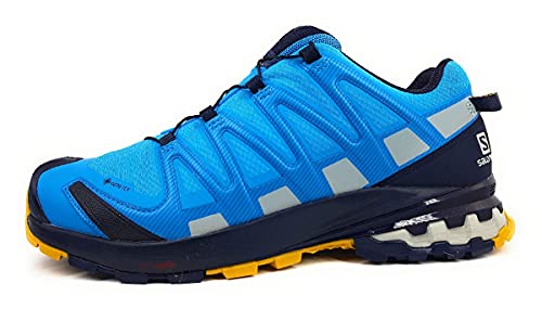 Salomon XA Pro 3D V8 Gore-Tex (Hombre Zapatos de trail running, Azul (Hawaiian Ocean/Night Sky/Arrowwood), 44 ⅔ EU)