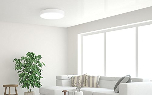 Yeelight Smart LED luz de techo,28W WiFi Bluetooth App Control remoto Control remoto Lámpara de techo regulable,2700K-6500K Temperatura de color ajustable,funciona con Amazon Alexa y Google Home