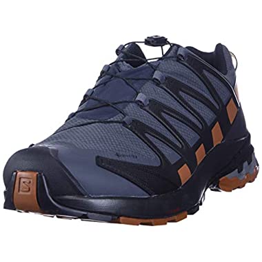 Salomon XA Pro 3D V8 Gore-Tex (Hombre Zapatos de trail running, Negro (Ebony/Caramel Cafe/Black), 40 EU)