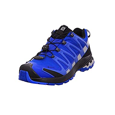 Salomon XA Pro 3D V8 Gore-Tex (Hombre Zapatos de trail running, Azul (Turkish Sea/Black/Pearl Blue), 49 ⅓ EU)