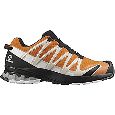 Salomon XA Pro 3D V8 Gore-Tex (Hombre Zapatos de trail running, Naranja (Marmalade/Rainy Day/White), 48 EU)