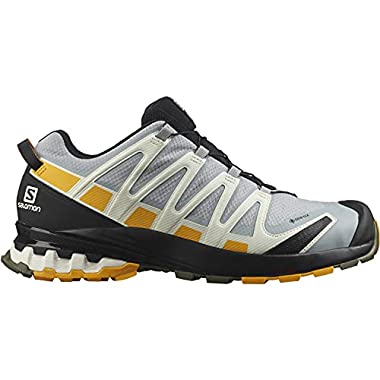 Salomon XA Pro 3D V8 Gore-Tex (Hombre Zapatos de trail running, Gris (Quarry/Saffron/Olive Night), 45 ⅓ EU)