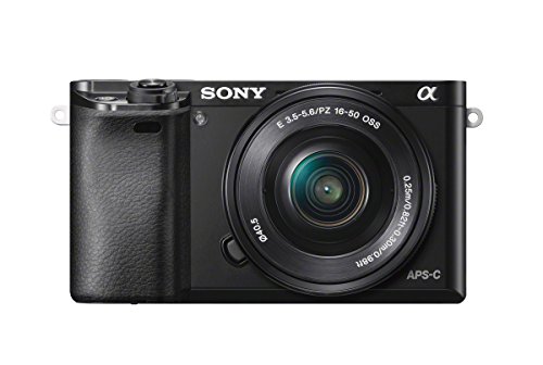 Sony A6000 Alpha Cámara EVIL Negro + Kit cuerpo con objetivo 16-50mm (SEL-P1650)