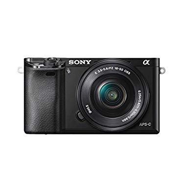 Sony A6000 Alpha Cámara EVIL Negro + Kit cuerpo con objetivo 16-50mm (SEL-P1650)