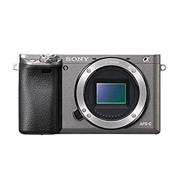 Sony Alpha 6000 Sistema cámara (pantalla LCD,sensor Exmor APS-C,Full HD,High Speed Hybrid AF)) (Grafito, Solo Cuerpo)